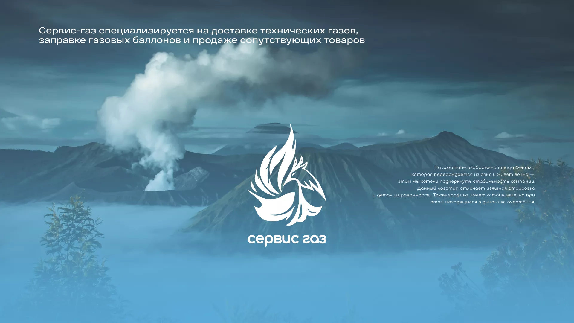 Создание сайта компании «Сервис газ» в Новой Ладоге