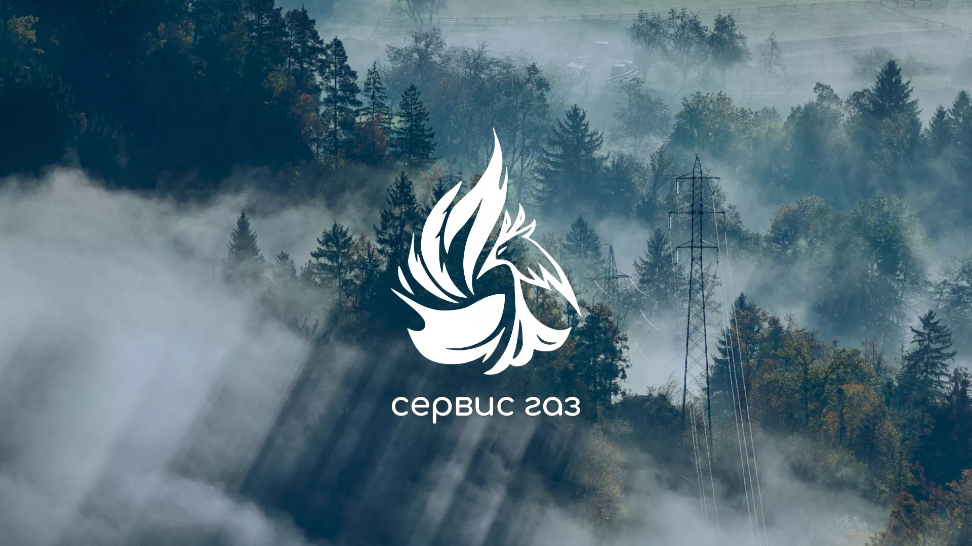 Создание сайта компании «Сервис газ» в Новой Ладоге