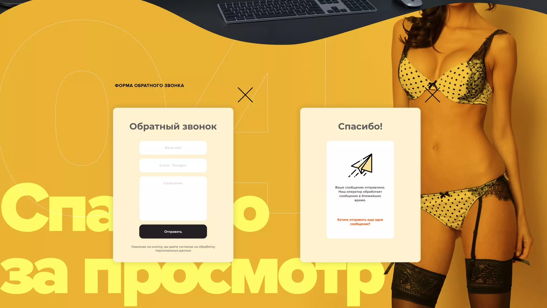 Создание интернет-магазина «Главсексмаг» в Новой Ладоге