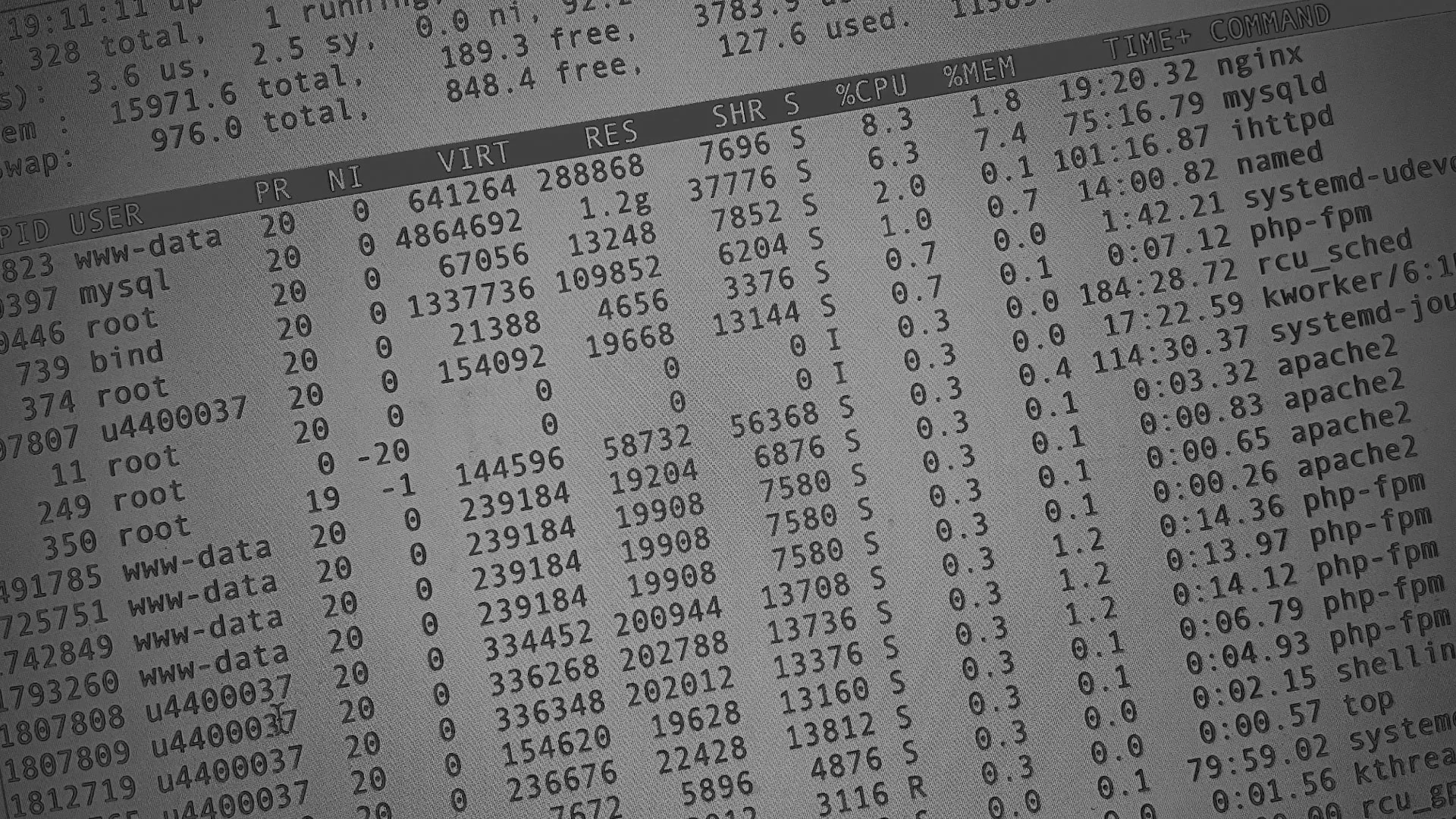 Настройка сервера в Новой Ладоге