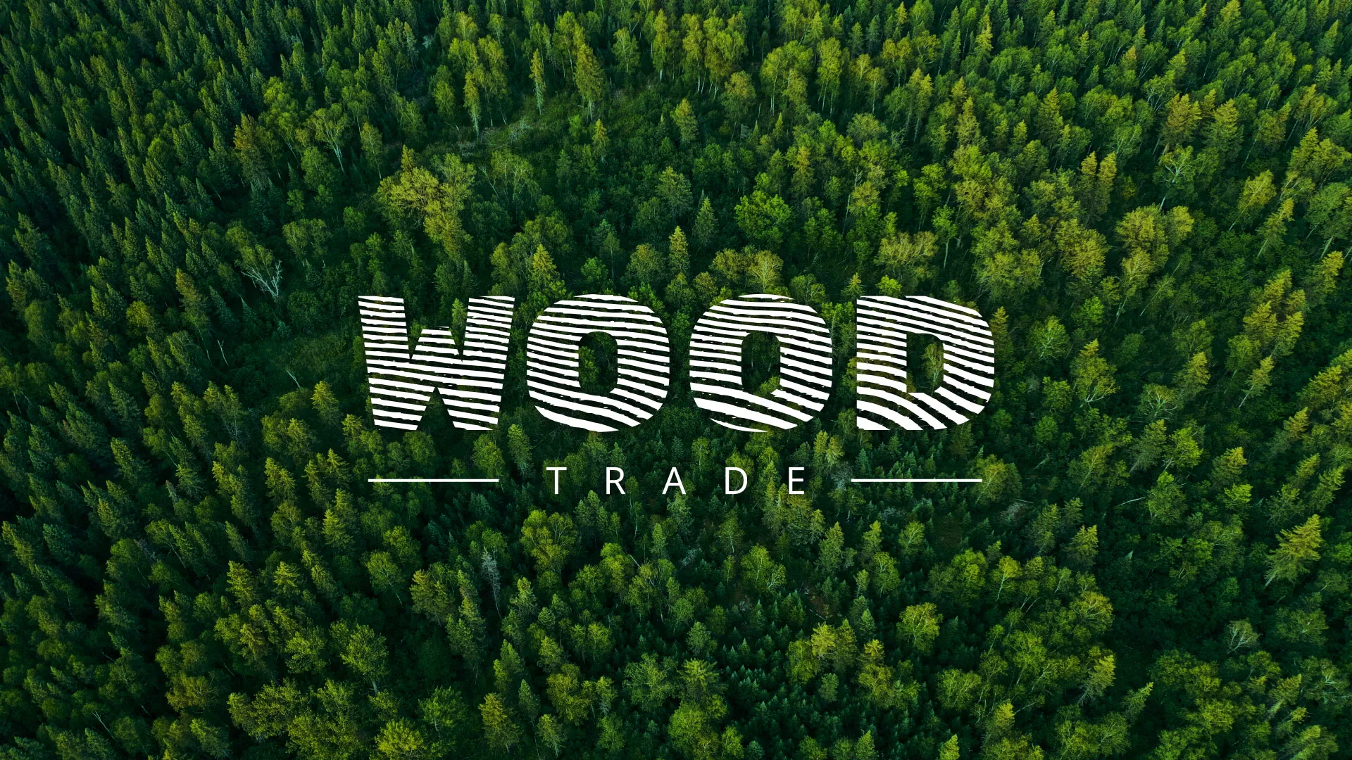 Разработка интернет-магазина компании «Wood Trade» в Новой Ладоге