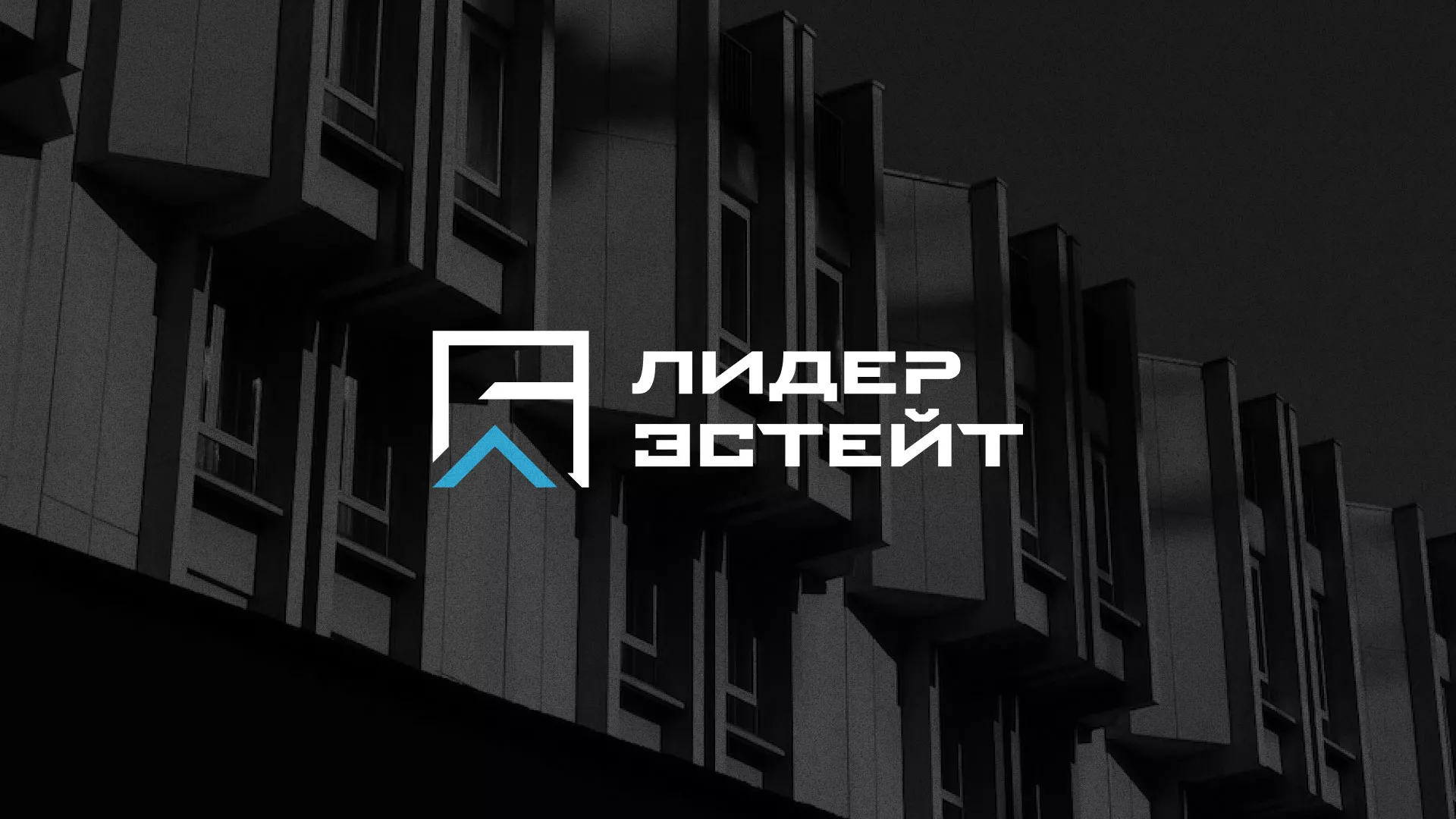 Разработка логотипа агентства недвижимости «Лидер Эстейт» в Новой Ладоге